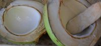 Coconut Buco